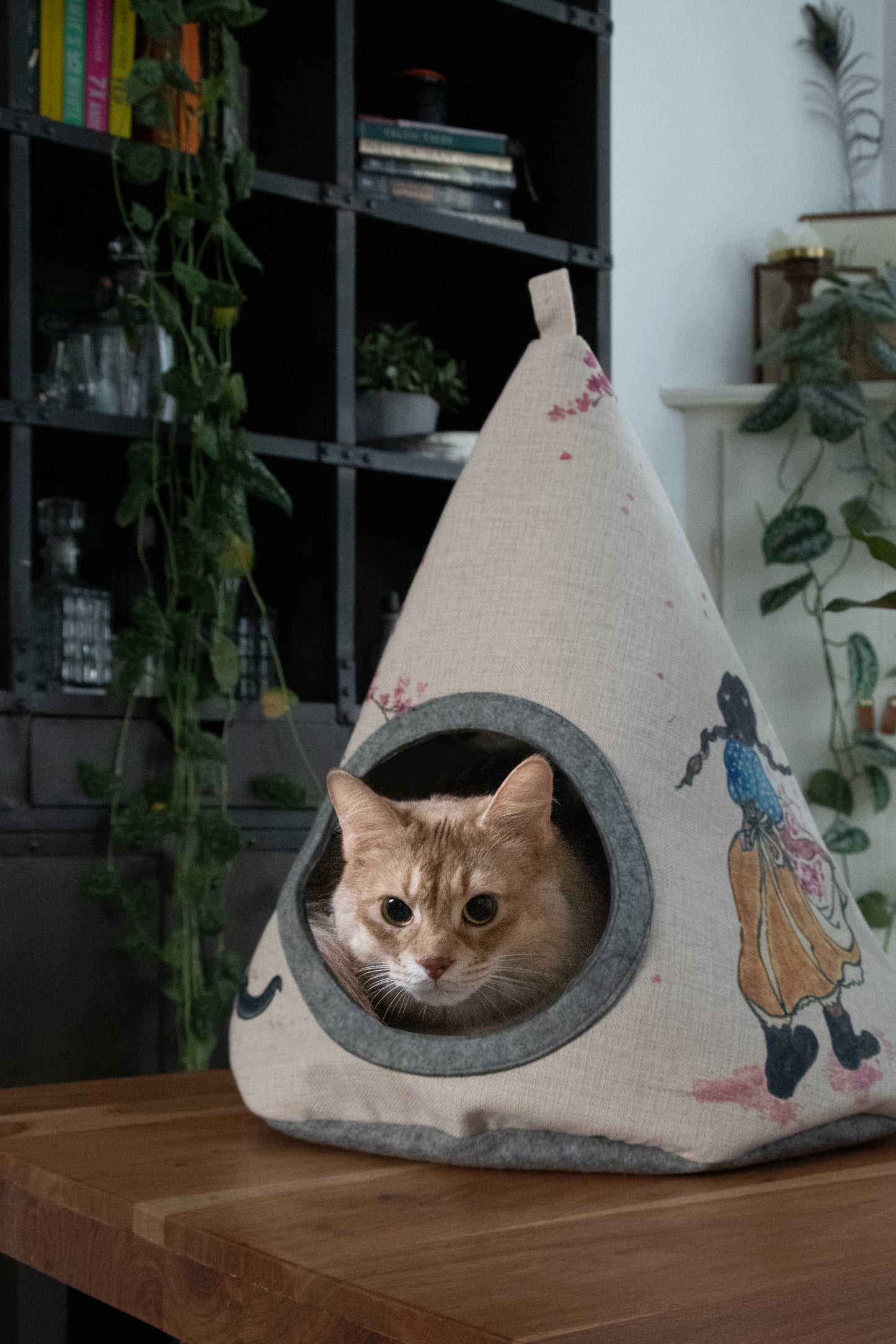Takara Cherry Blossom tipi