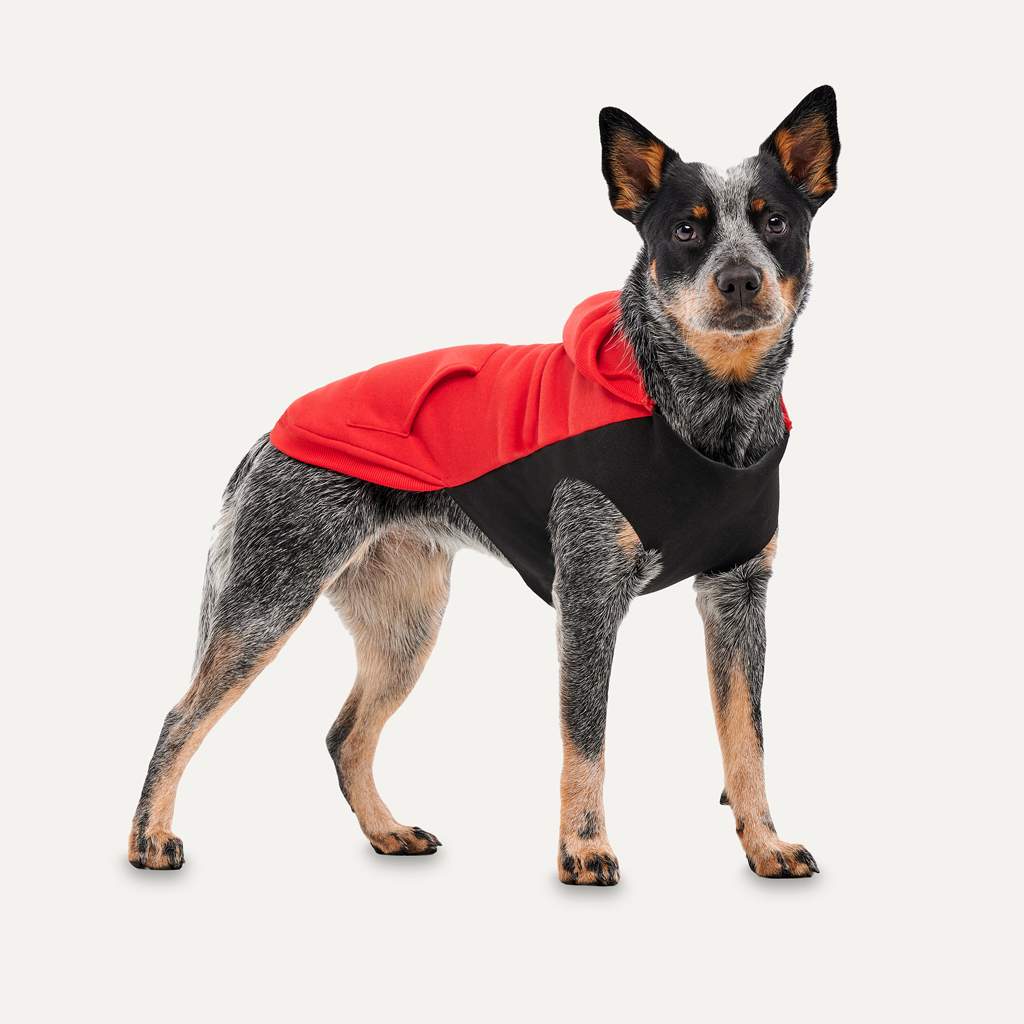 Gooeez Kangaroo Fleece Hoodie XS Red/Black
