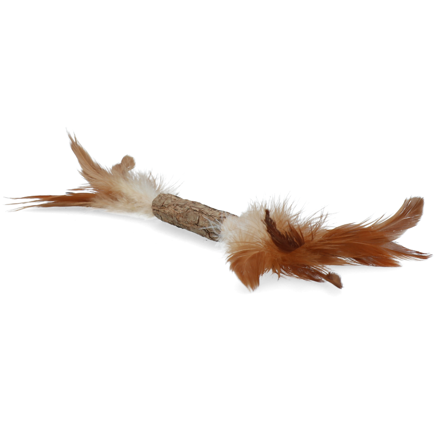 Addicted Stick with caterpillar and feathers