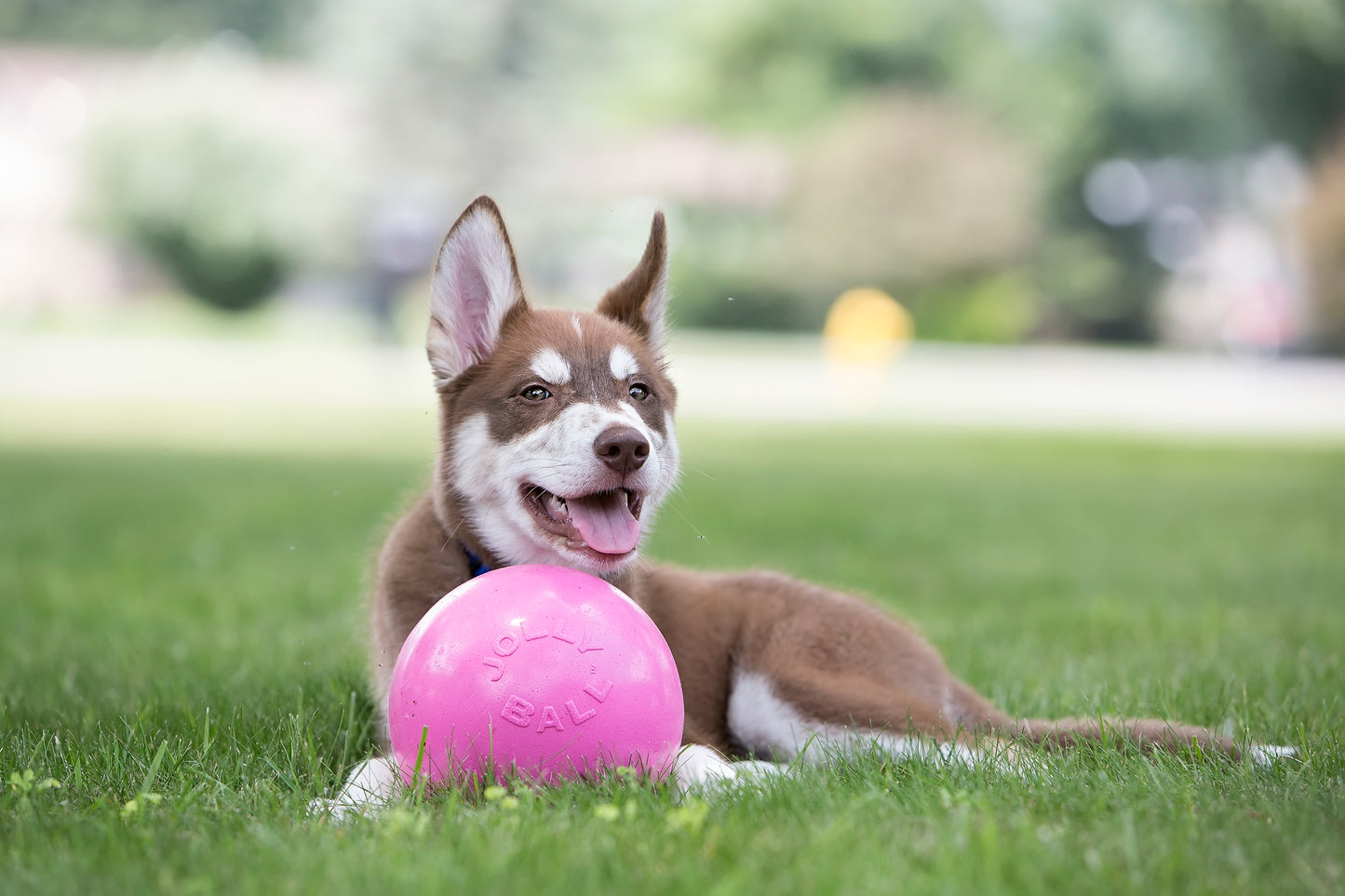 Jolly Ball Bounce-n Play 11cm Rosa (Kaugummii Duft)
