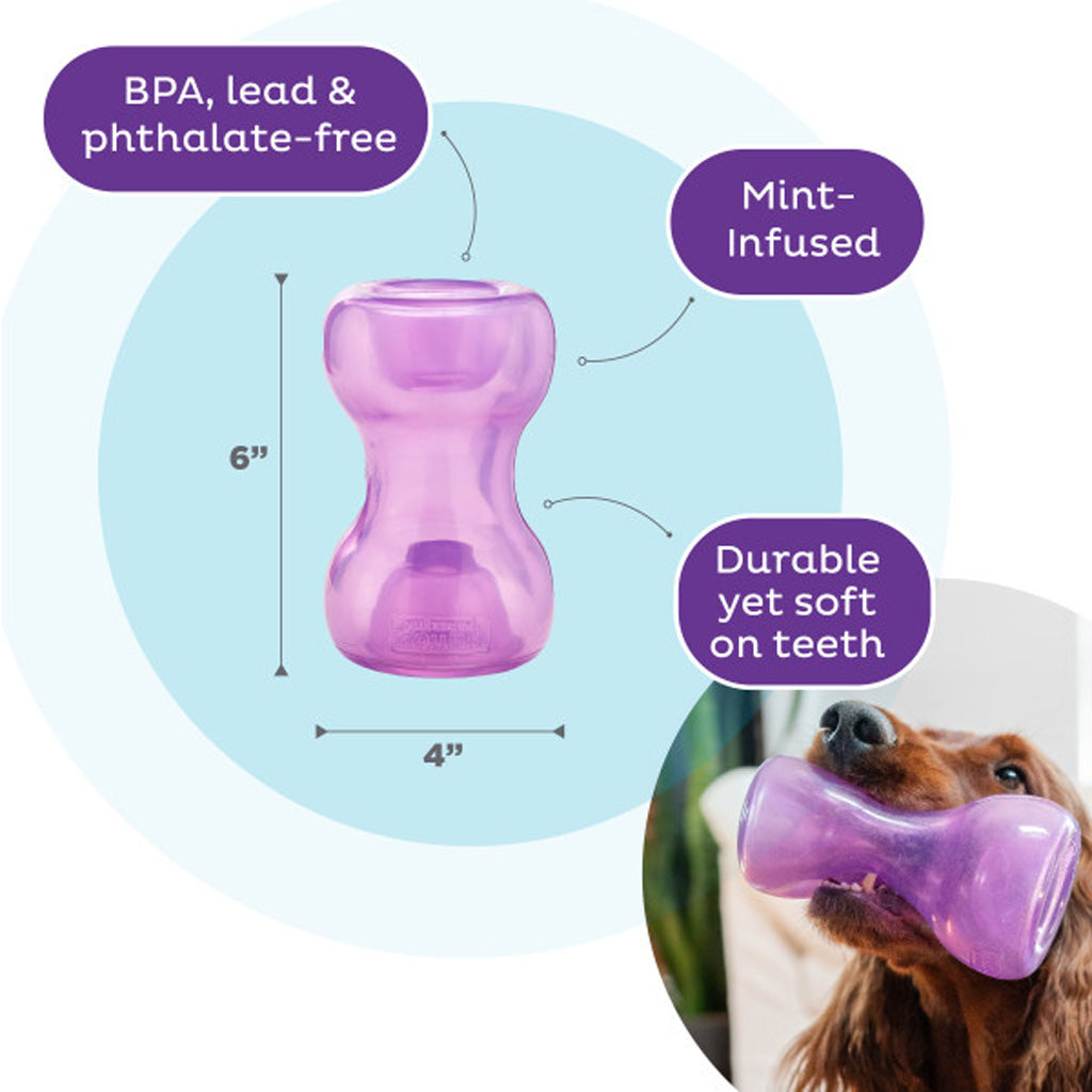 Outward Hound Double Snoop Purple Planet Dog