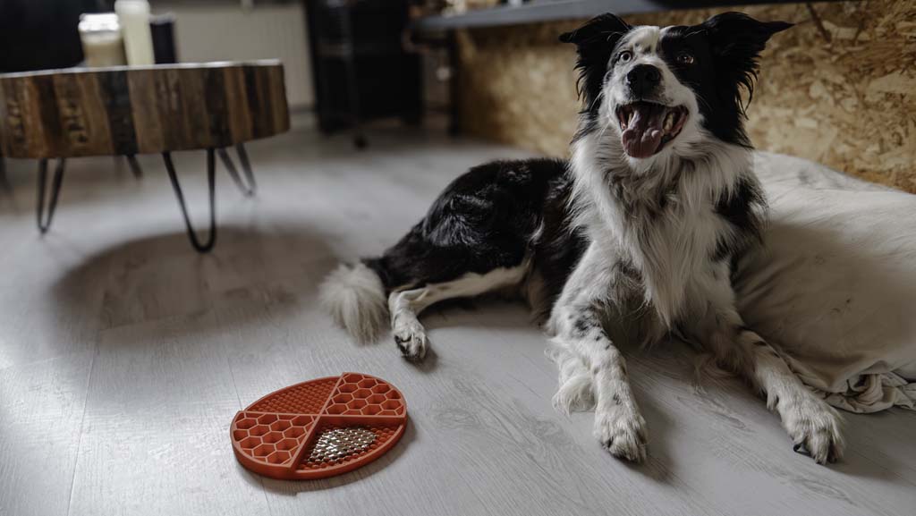 Eat Slow Live Longer Lick Mat Dimensions Circle Red