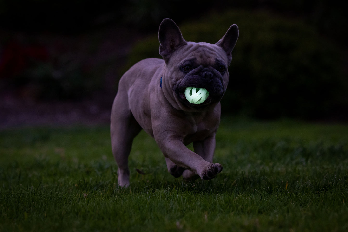 Chuckit Max glow air fetch ball S 2pk