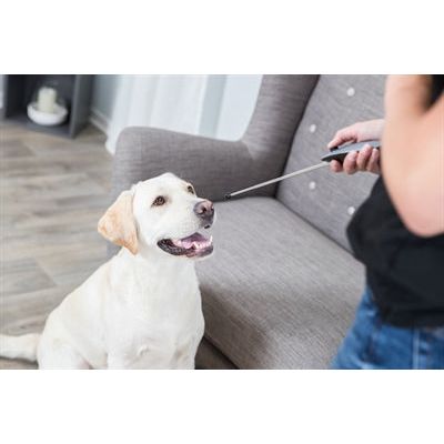 Trixie Hund Aktivität Zielstock Zeiger Sortiert