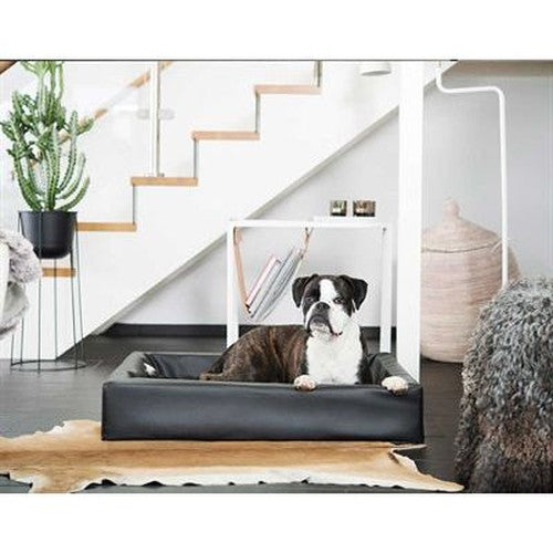 Bia Bed Hund Korb Orthopädische Schwarz