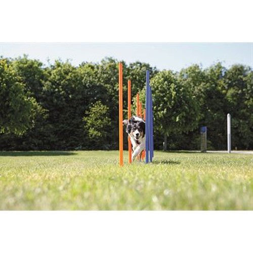 Trixie Hund Aktivität Agility Slalom Stöcke Blau / Orange