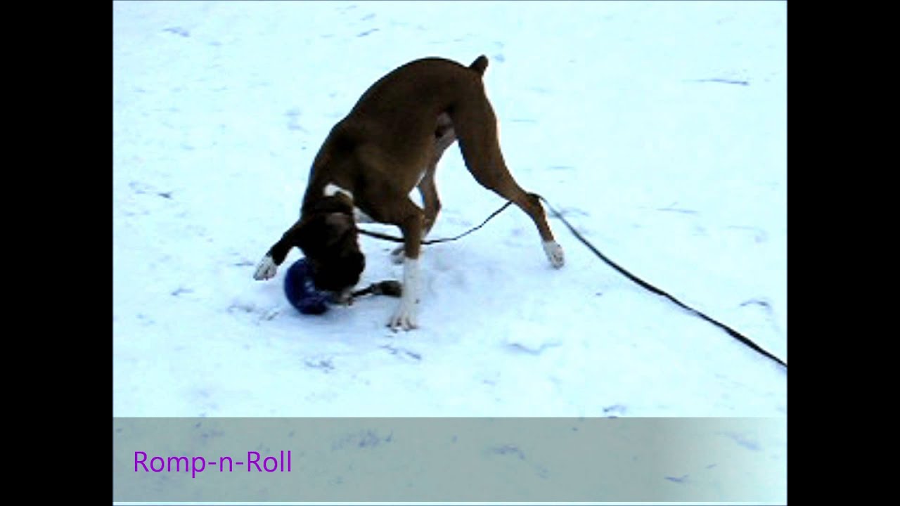 Jolly Romp-n-Roll Rot S (11 cm)