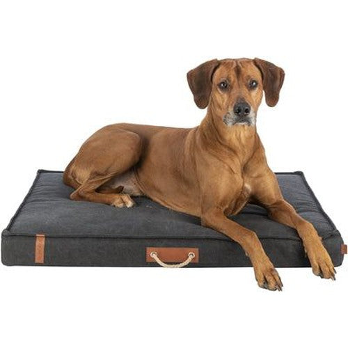 Trixie Be Nordic Hundematratze Fohr Schwarz