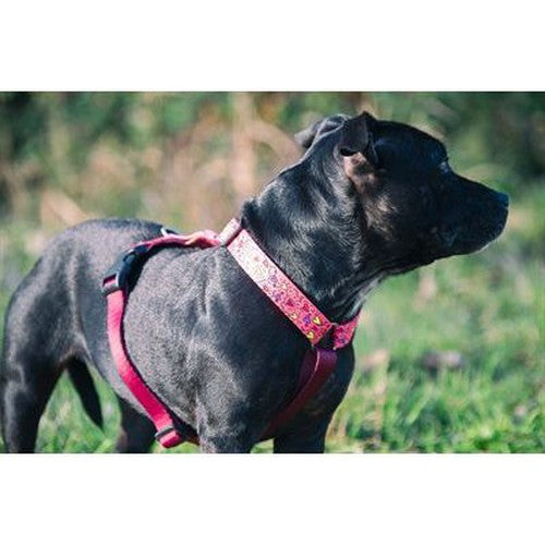 Morso Hundegeschirr Hundeleine Recycelt Rosa Think Pink