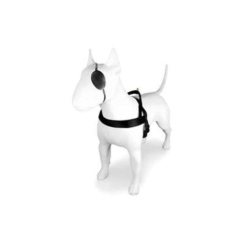 Morso Norwegisches Hundegeschirr Recyceltes Gold Kaviar Gold