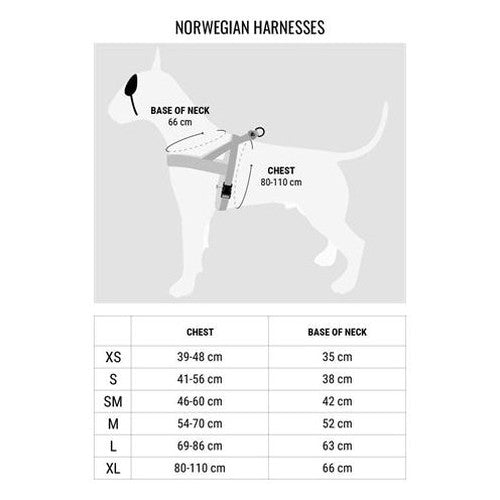 Morso Norwegisches Hundegeschirr Recyceltes Gold Kaviar Gold