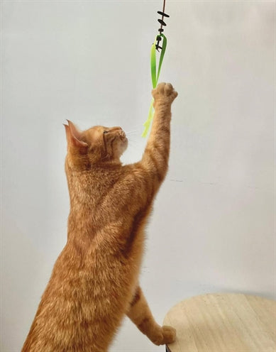 Martin Katzenspielzeug Jason Recycelt Sortiert