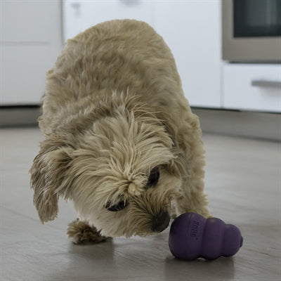 Kong Senior Lila