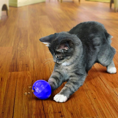 Kong Leckerlispender Für Katzen Mit Futterball