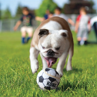 Kong Sportball Sortiert