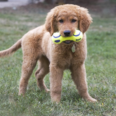 Kong Airdog Dumbel Tennisball Gelb