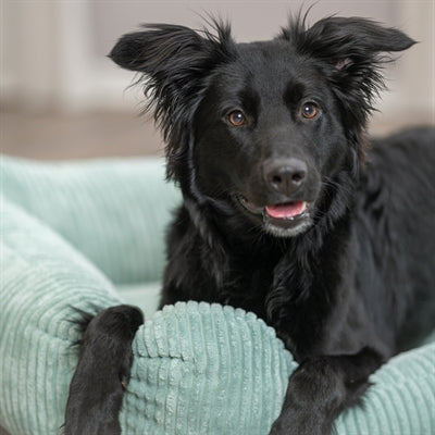 Trixie Hundekorb Jonna Vital Gerippt Salbeigrün