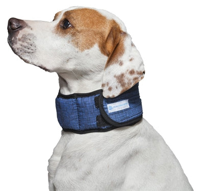 Aqua Coolkeeper Halsband Aqua-Kühlwächter Pazifik Blau