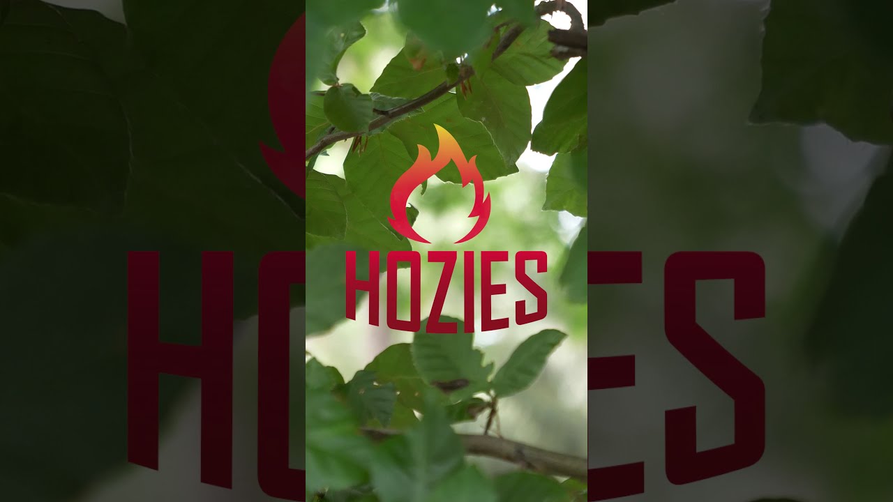 Hozies Trixy Trumpet S