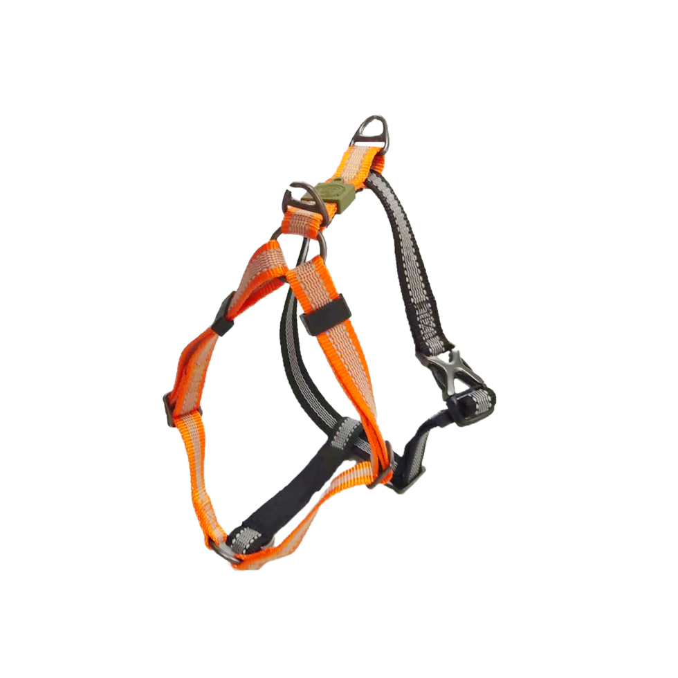 AFP Off Street - Dog Non-Pull Harness Mandarine L