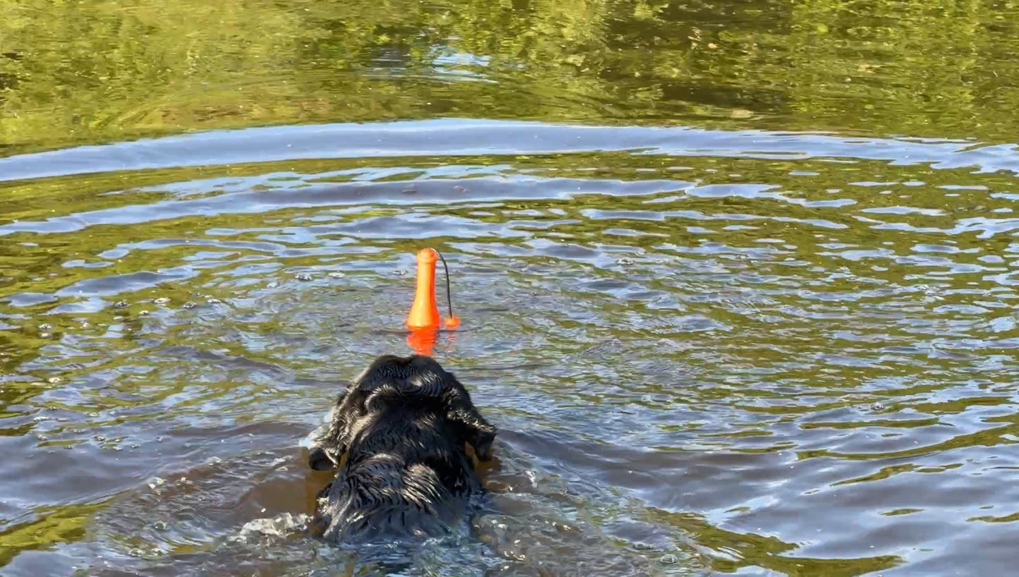 Dog Comets Bobber Orange