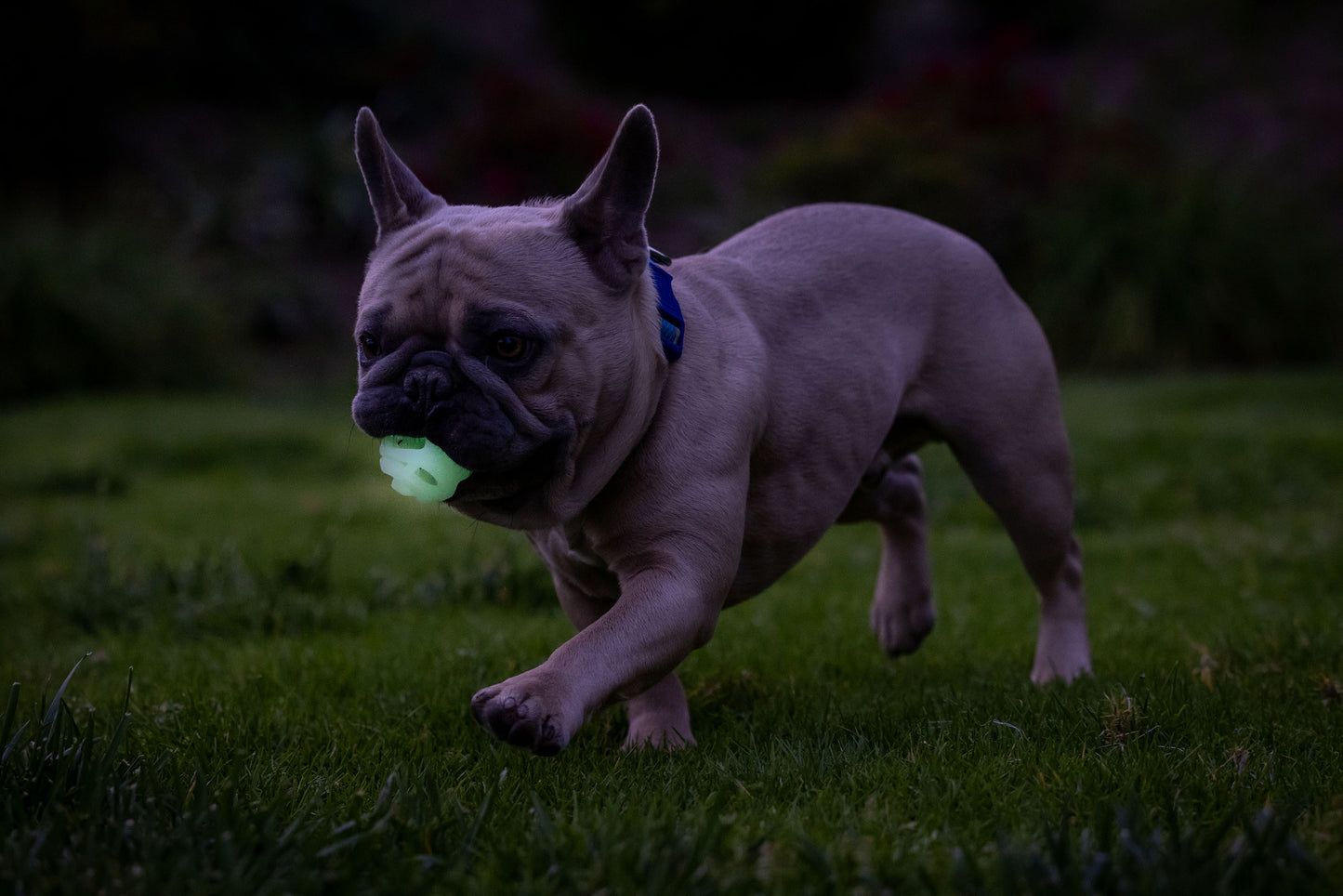 Chuckit! Air Glow Fetch Ball M (2-pack)