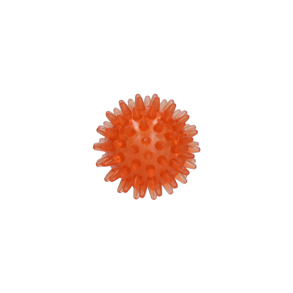 Dog Comets Exoplanet Igelball S Orange