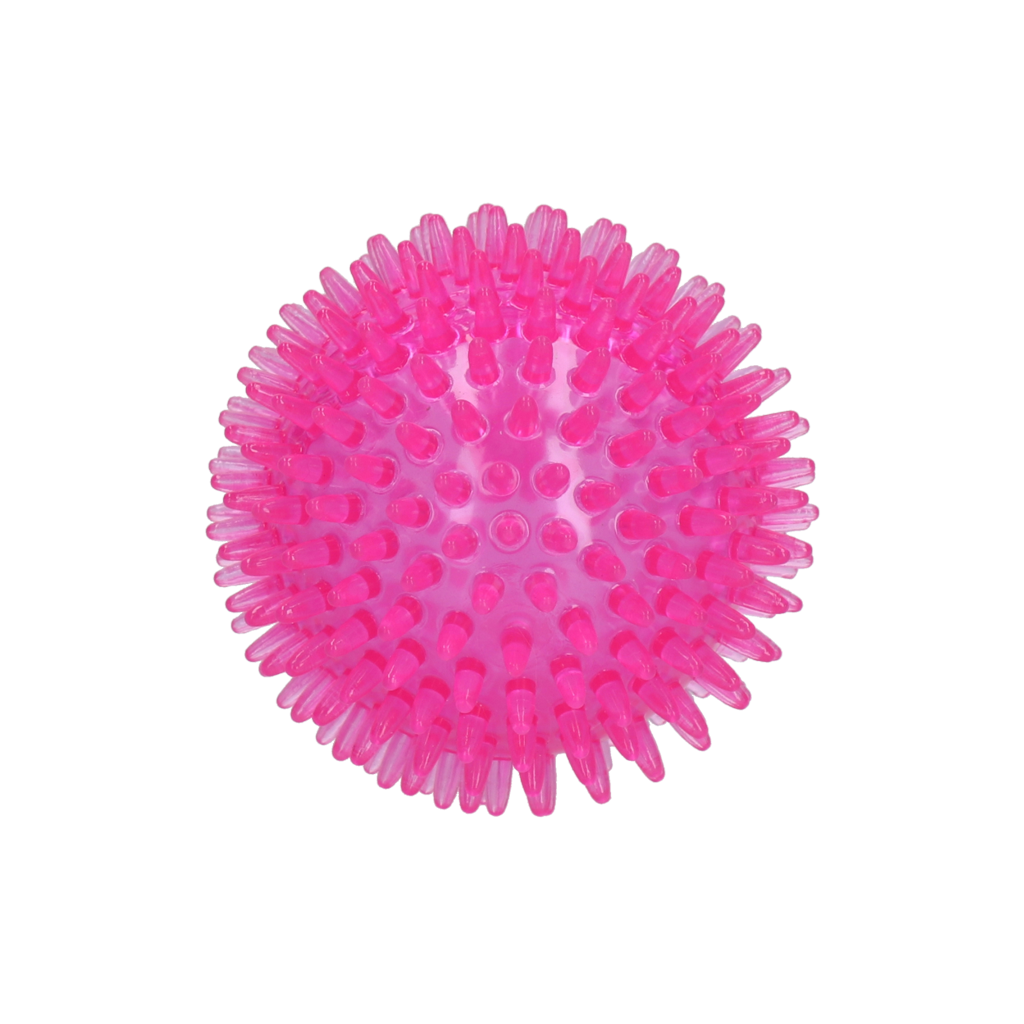 Dog Comets Exoplanet Igelball M Rosa