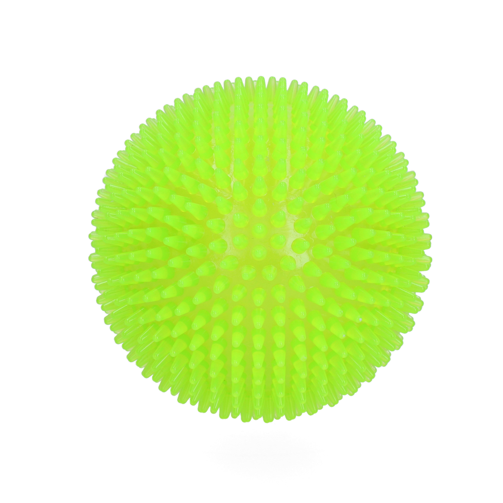 Dog Comets Exoplanet Igelball L Grün
