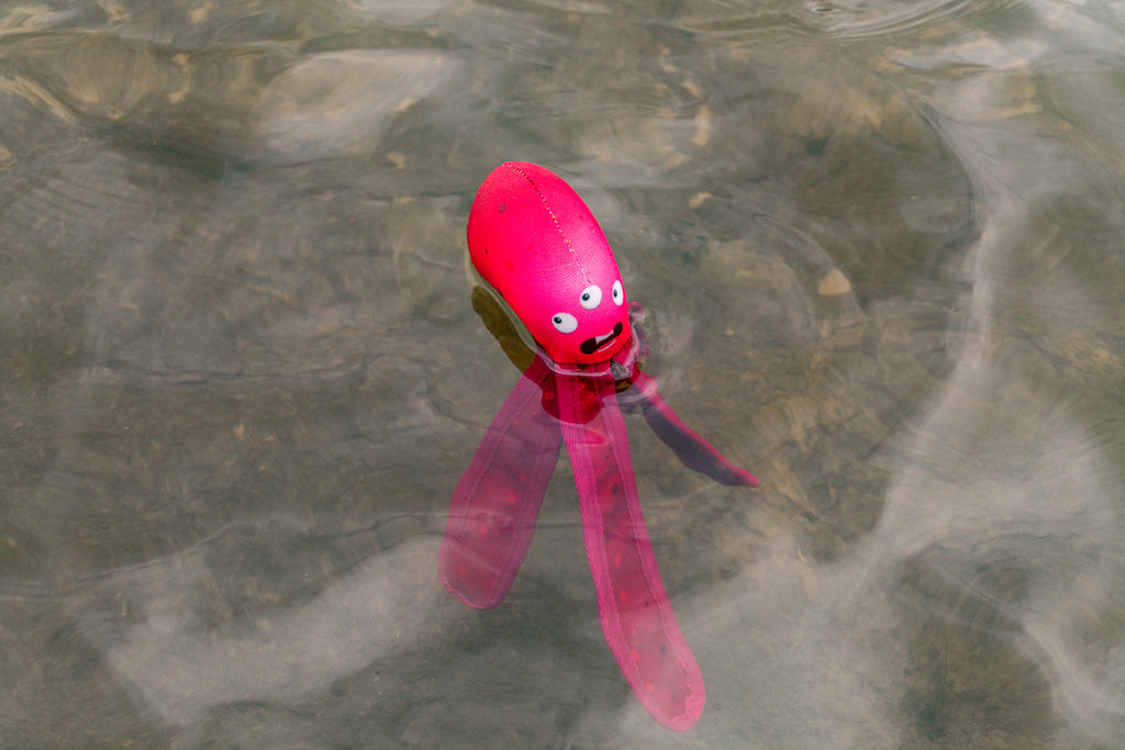 Dog Comets Alien Octo M Rosa