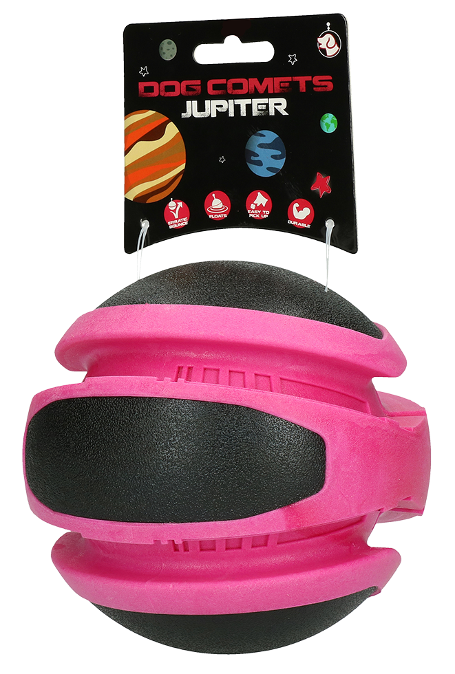 Dog Comets Planets Rosa
