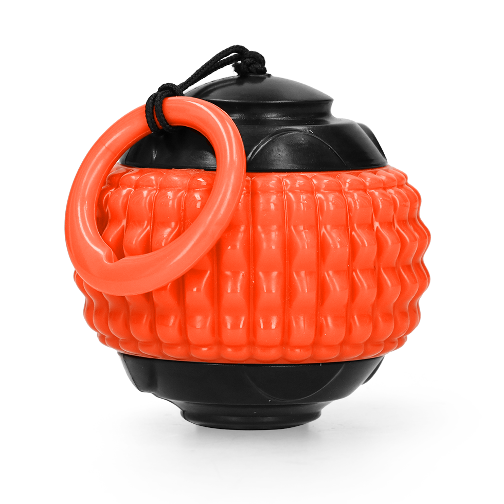 Dog Comets Blazar Jet Orange