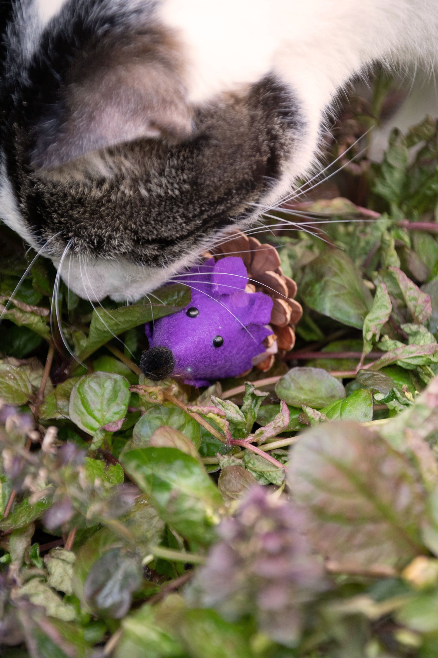 Forest Friends Mouse Violett