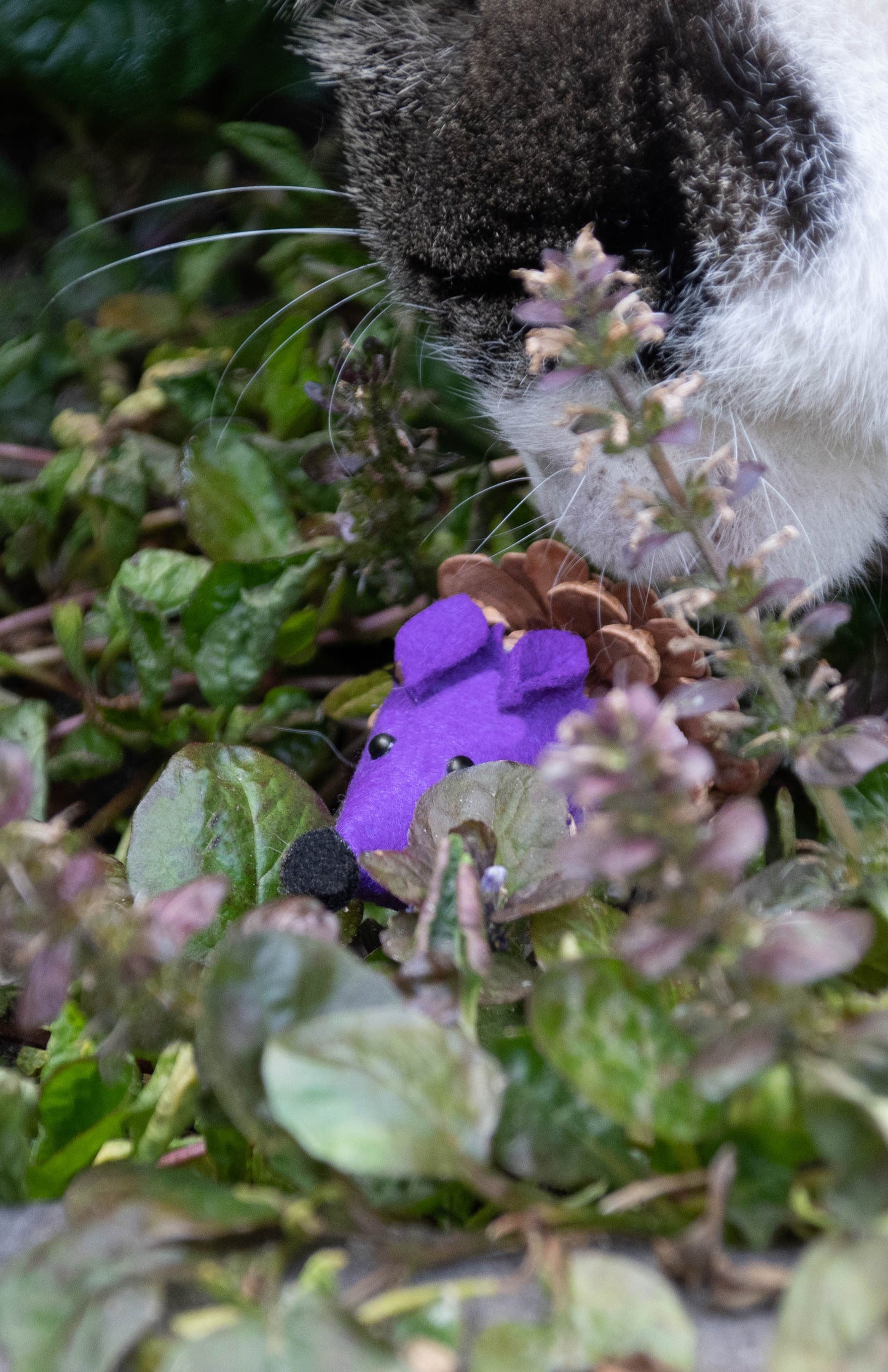 Forest Friends Mouse Violett