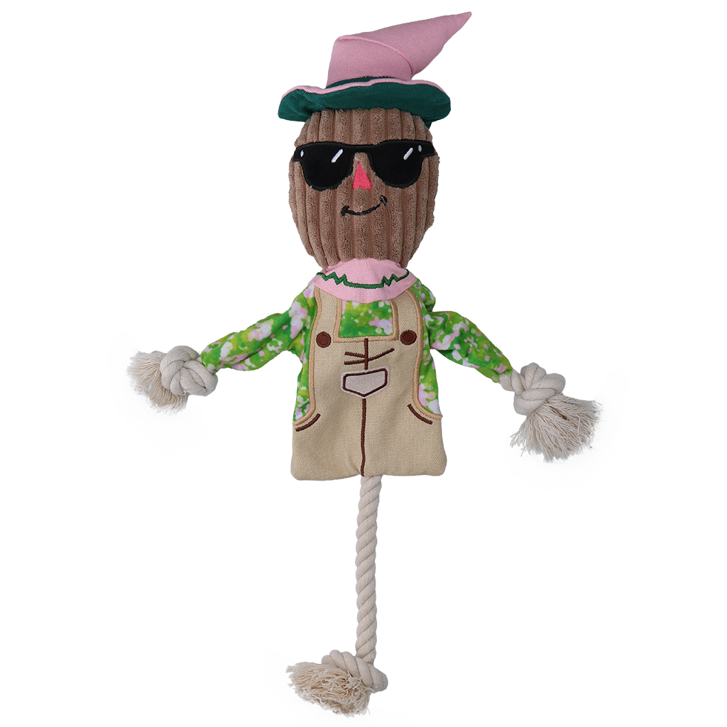 Garden Paws Scarecrow Scary Harry M