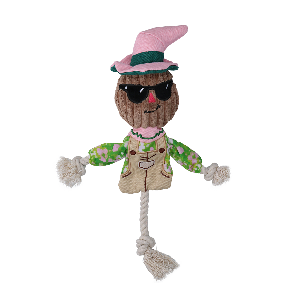 Garden Paws Scarecrow Scary Harry S