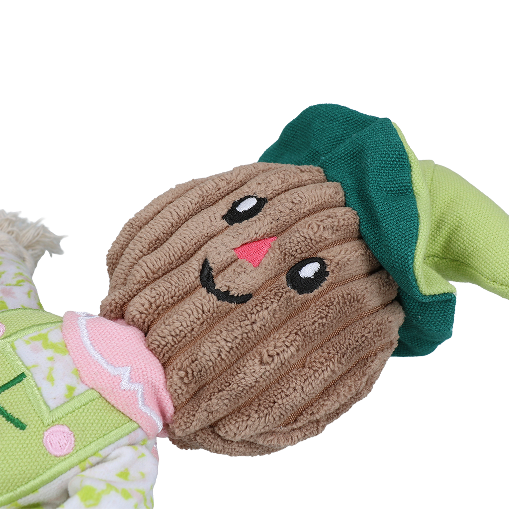 Garden Paws Scarecrow Indy Fields S