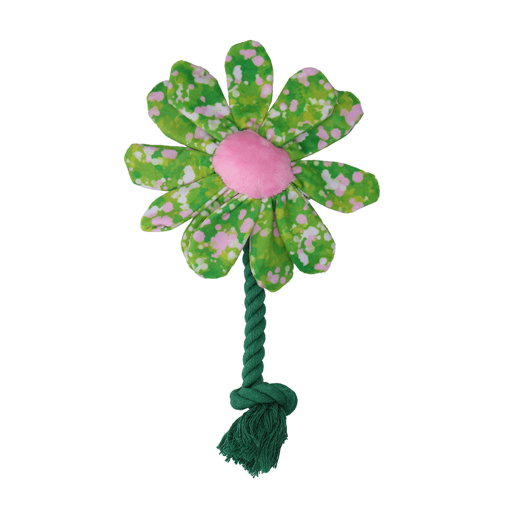 Garden Paws Flower Summer Shrubs S