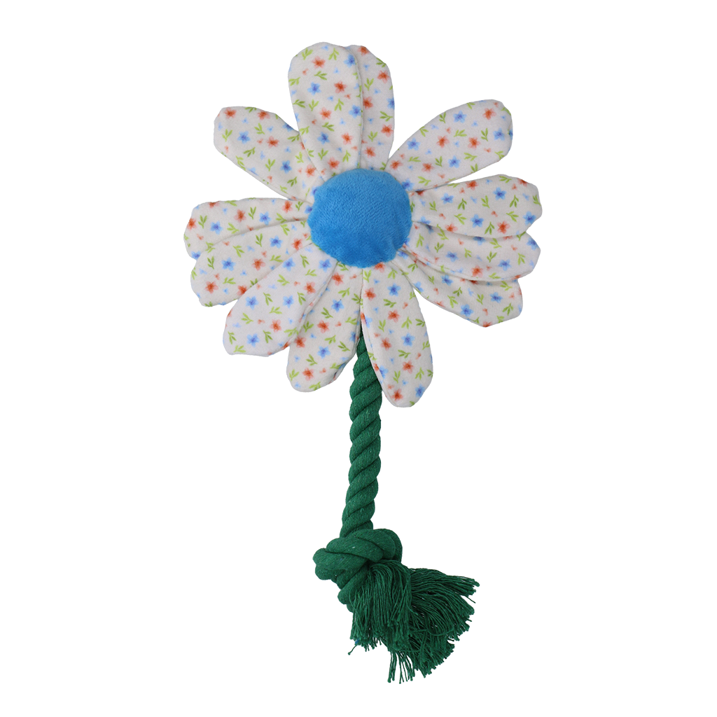 Garden Paws Flower Sky Flowers S