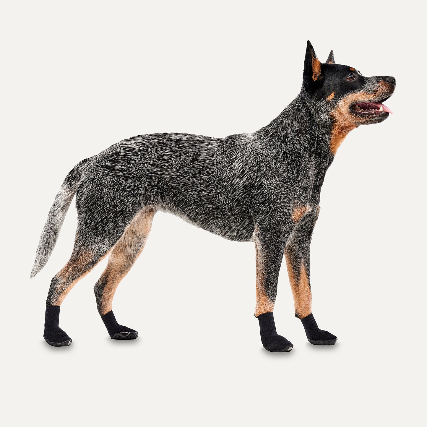 Goo-eez Dog Boots Ultras 2 Per Pack S Schwarz