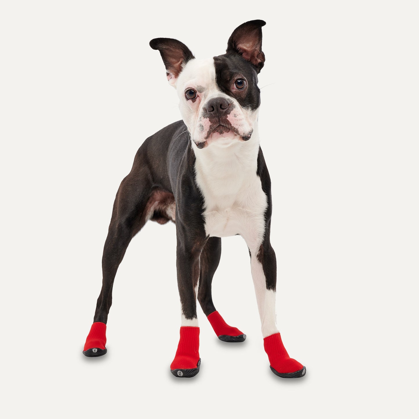Goo-eez Dog Boots Ultras 2 Per Pack XS Rot/Schwarz