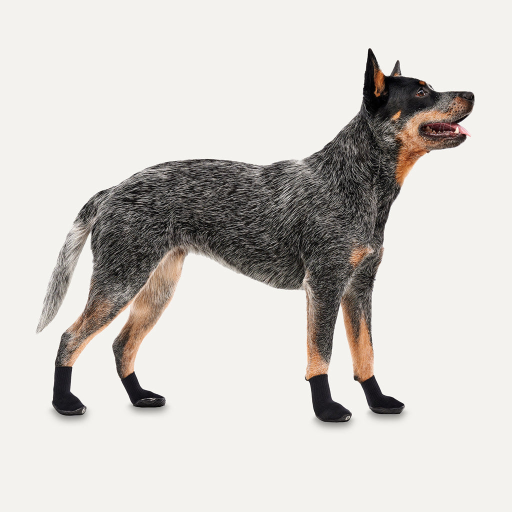 Goo-eez Dog Boots Lites 4 Per Pack XXS Schwarz