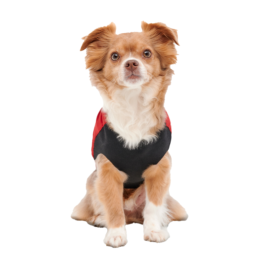 Goo-eez Mock Neck Signature Wrap Jacket M Rot/Schwarz