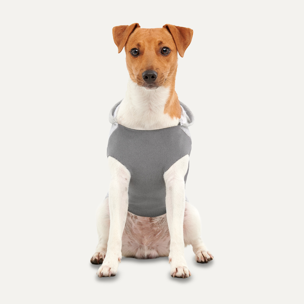 Goo-eez Kangaroo Fleece Hoodie XXS Grau