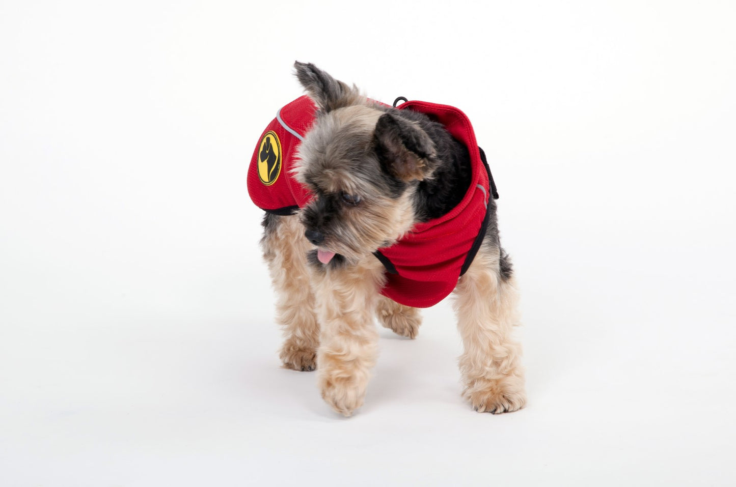 Dog Armor Knockdown Coat (Insect Shield) XXXXS (20cm rückenlänge)