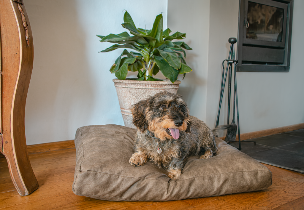 Let's Sleep Plush Pillow Hundebett M Taupe