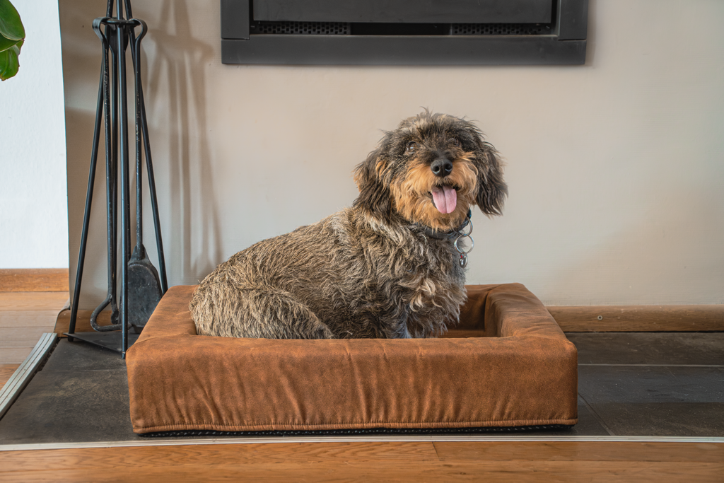 Let's Sleep Comfy Cushion Hundekorb XL Cognac