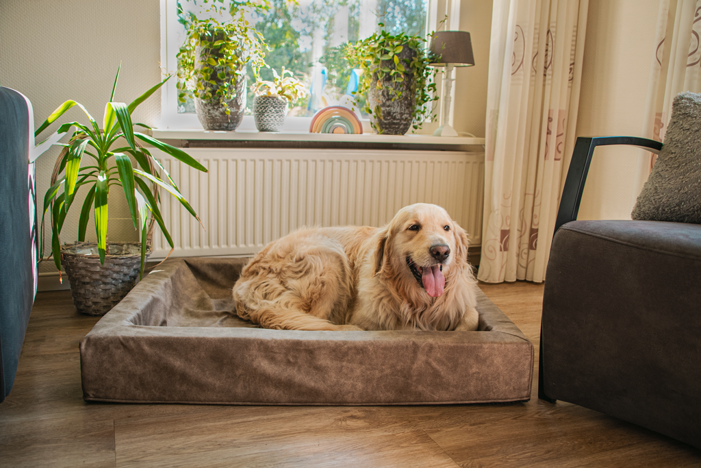 Let's Sleep Comfy Cushion Hundekorb XL Cognac