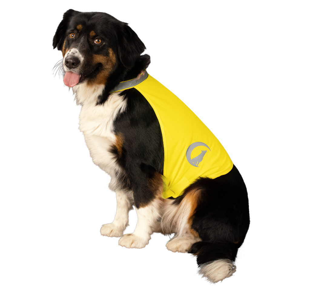 Nightwalk Safety Vest Gelb S