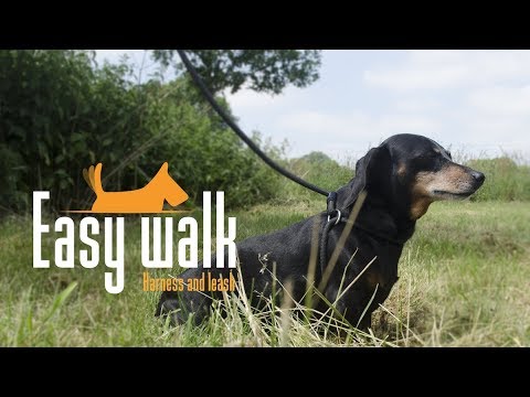 Easy Walk Schultermodell Rot - Regular